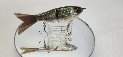 Big Belly Jr. 008