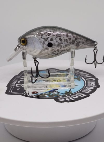 Purple Gold Shad 2.5 Square Bill