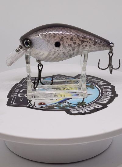 Blue Gold Shad 2.5 Square Bill