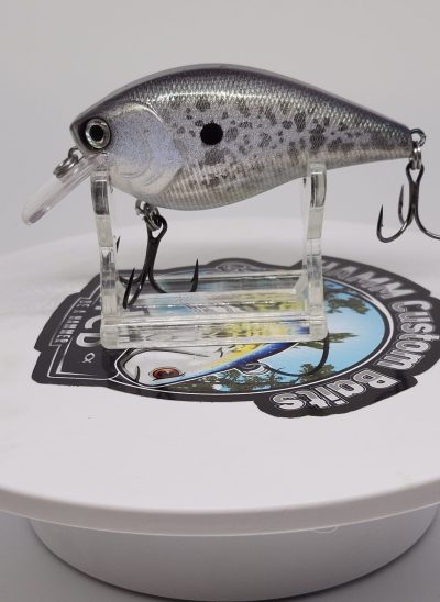Green Gold Shad 2.5 Square Bill