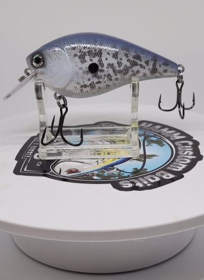 Purple/Light Blue Gold Shad 2.5 Square Bill