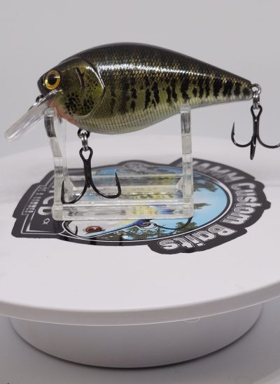 Reel Gill 2.5 Square Bill