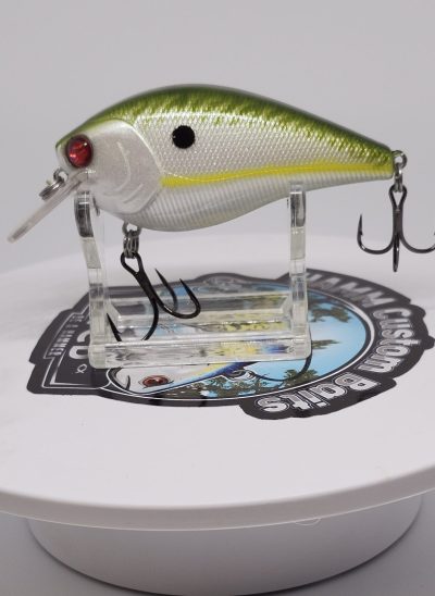 Green B Shad 2.5 Square Bill