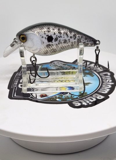 Purple Gold Shad 1.5 Square Bill