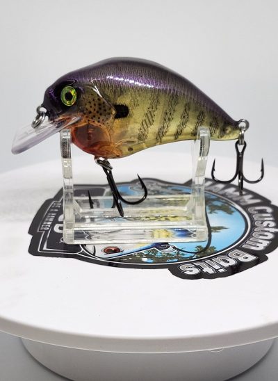 A-Frican Killer Gill S-Crank KO
