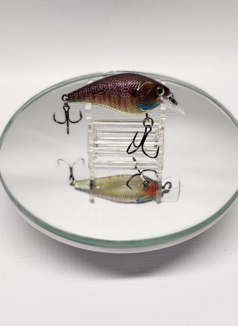 Bluegill 1.5 Square Bill