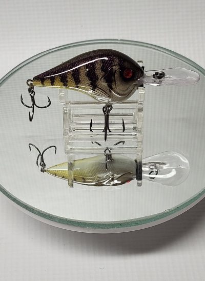 Purple Perch DT-10 KO