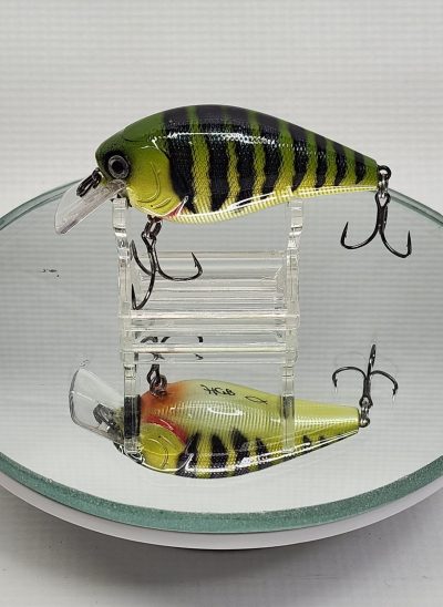Yellow Perch 2.5 Square Bill with rattles