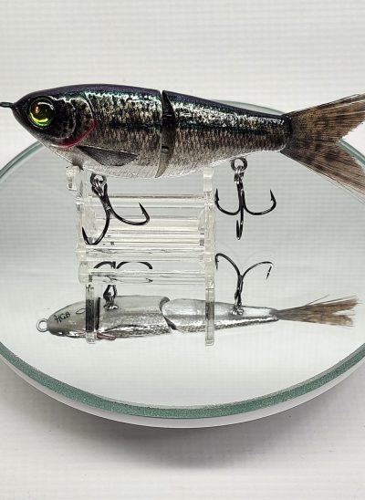 5" Big Belly Jr. 001