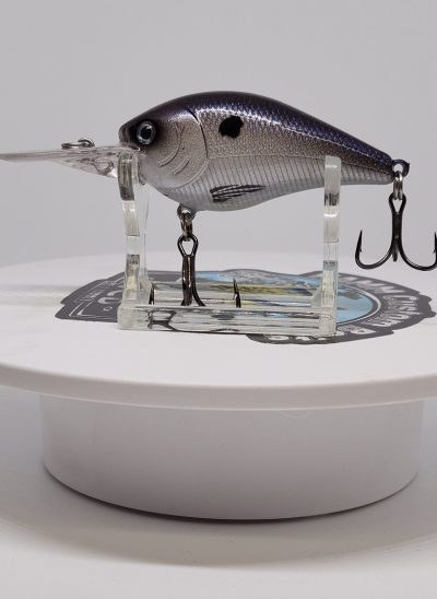 Blue/Purple Back Shad Medium Diver Shad #CB7
